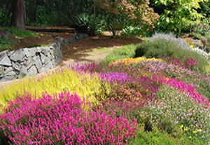 Connie Hansen Gardens