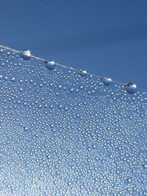 dew drops on a spiders web shimmer like ice crystals in the summer sun
